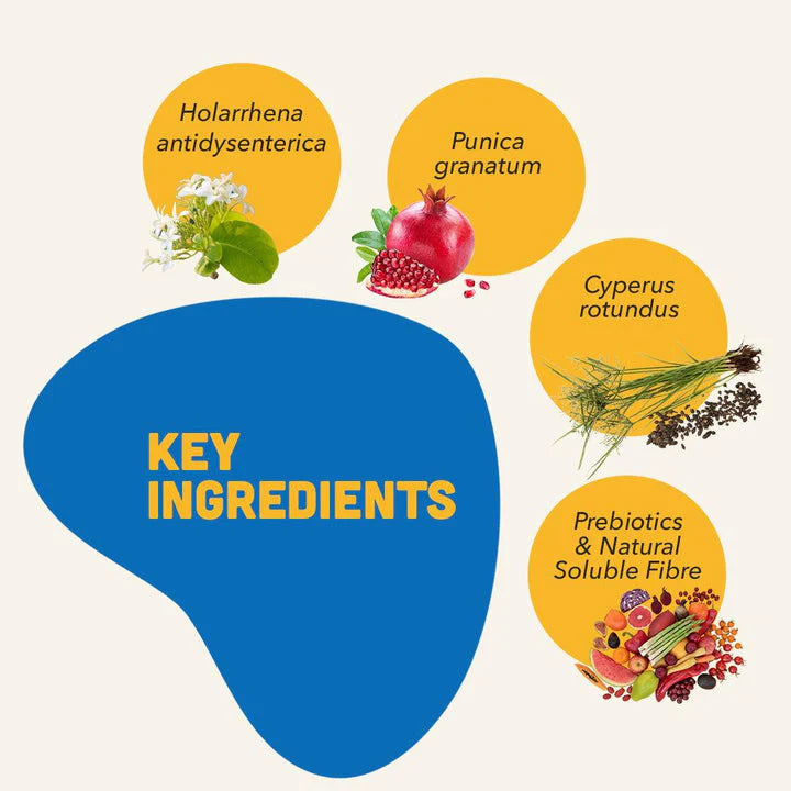 NATGUT – Digestive Supplement For Dogs & Cats