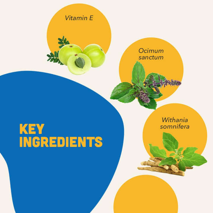 NATLIFE – Energy & Immunity Supplement