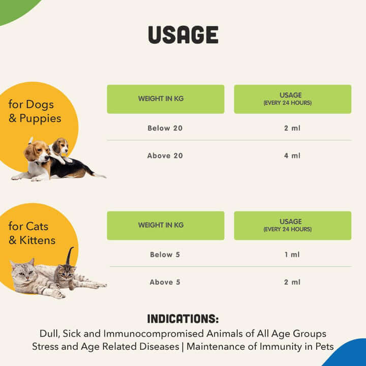 NATLIFE – Energy & Immunity Supplement