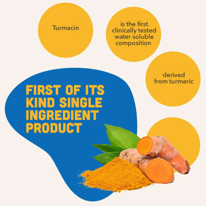 ORTHORON TABLET – Pet Joint Supplements Tablets