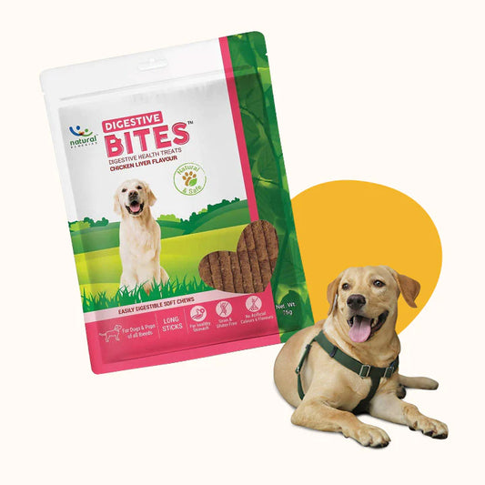 DIGESTIVE BITES Digestive Health Treats