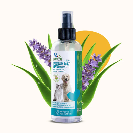 FRESH ME UP BLOOM – Waterless Spray Cleanser For Dogs & Cats