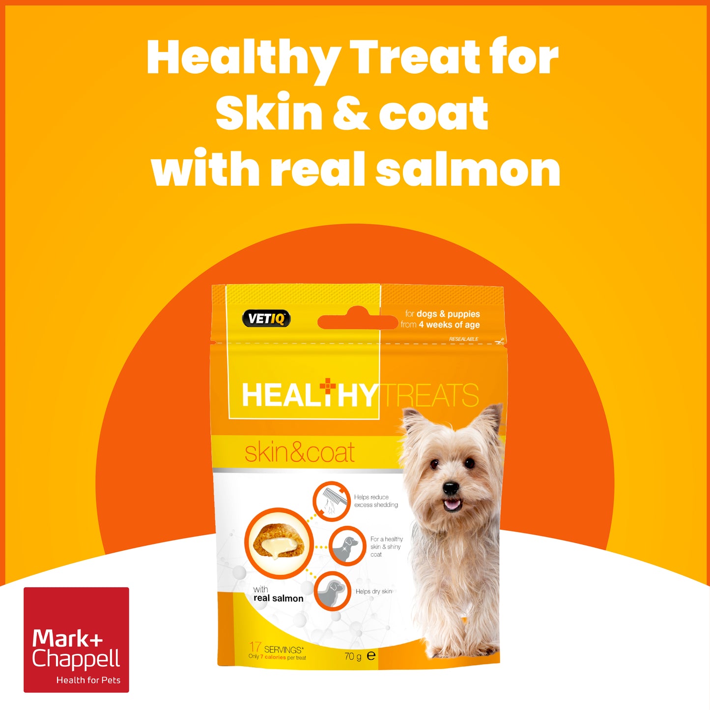 Healthy Treats Skin & Coat For Dogs & Puppies 70g