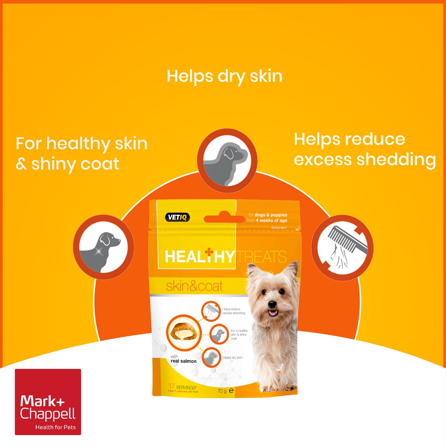 Healthy Treats Skin & Coat For Dogs & Puppies 70g