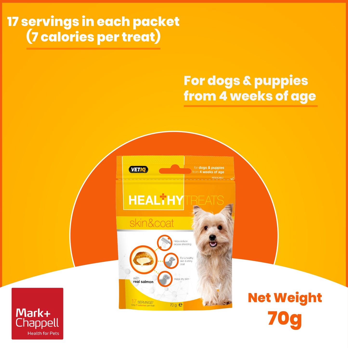 Healthy Treats Skin & Coat For Dogs & Puppies 70g