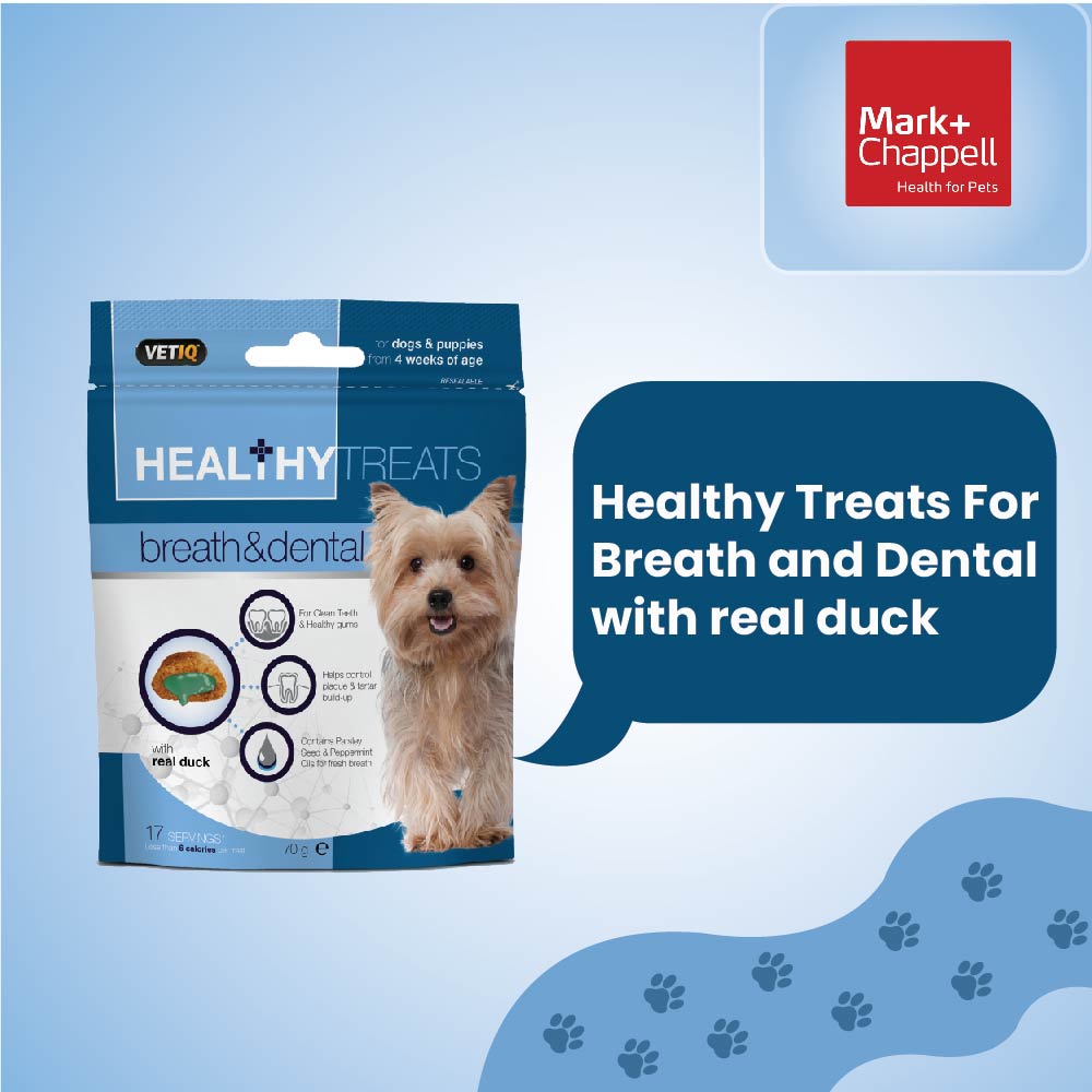 Healthy Treats Breath & Dental For Puppies 70g