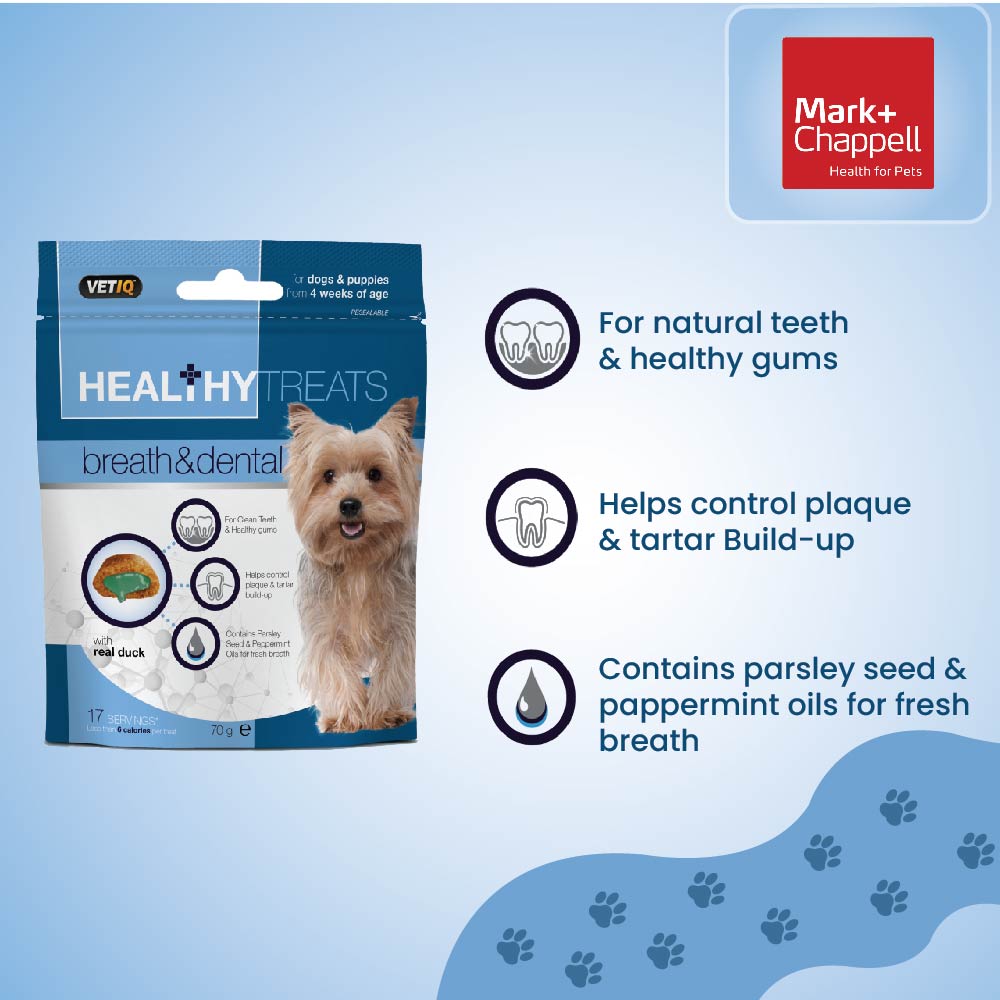 Healthy Treats Breath & Dental For Puppies 70g