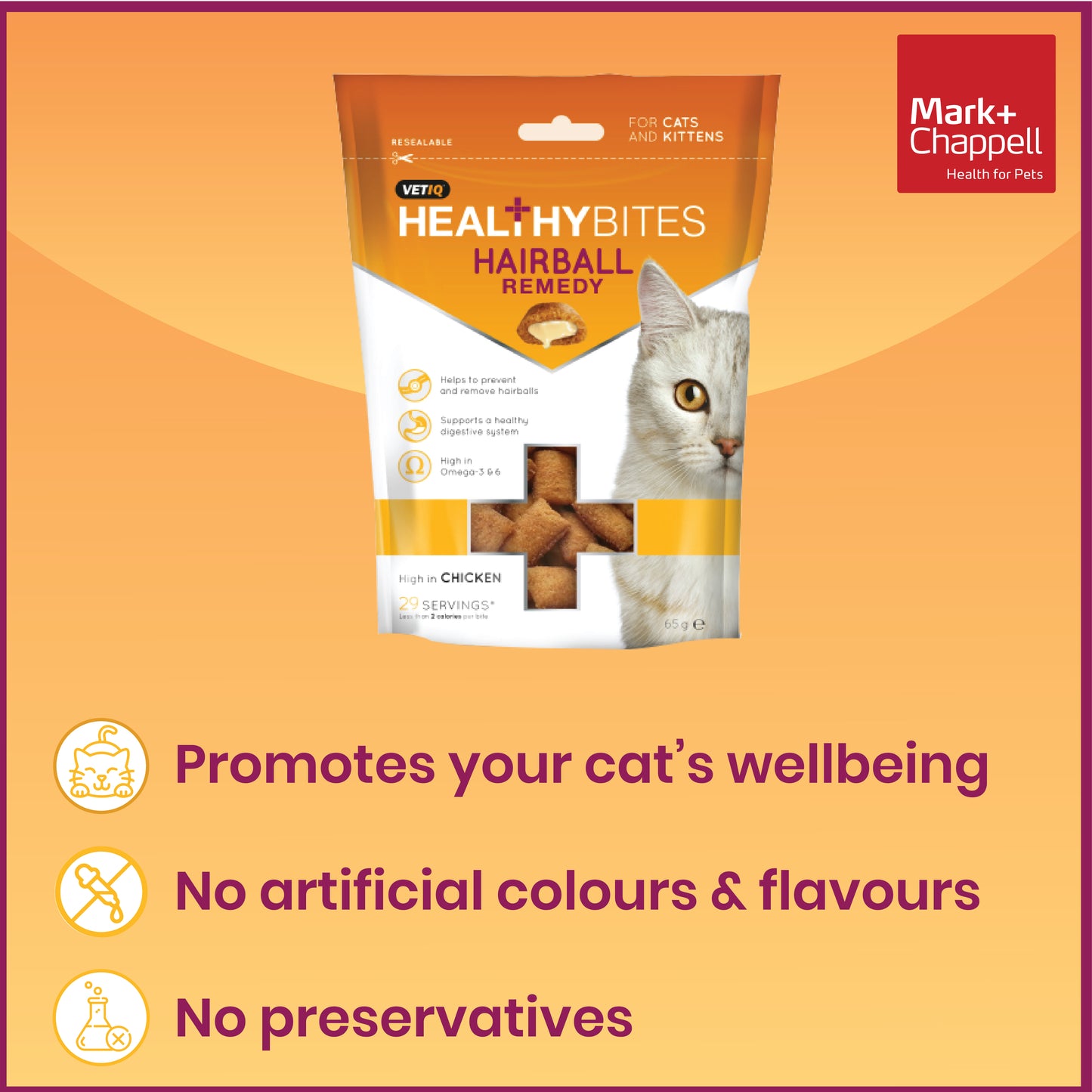 Healthy Bites Hairball Remedy For Cats 65g