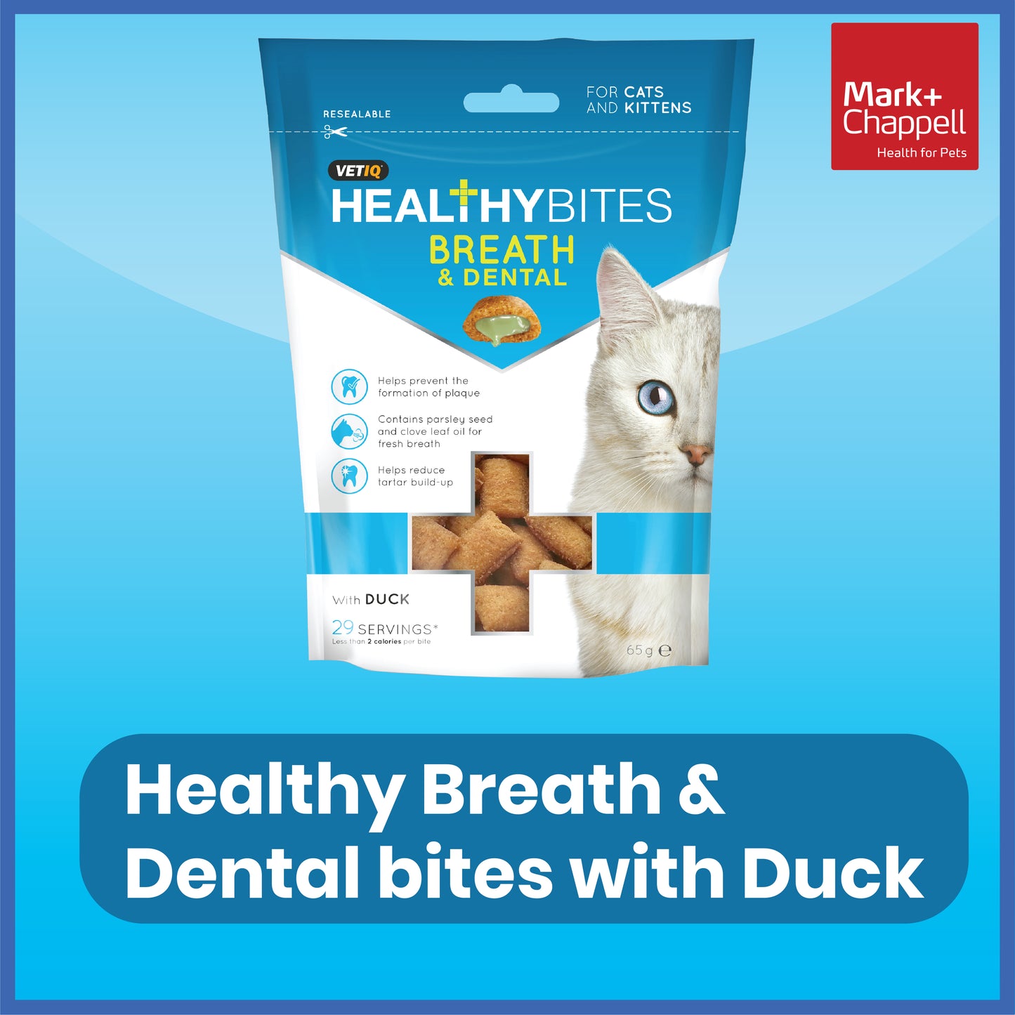 Healthy Bites Breath and Dental For Cats 65g