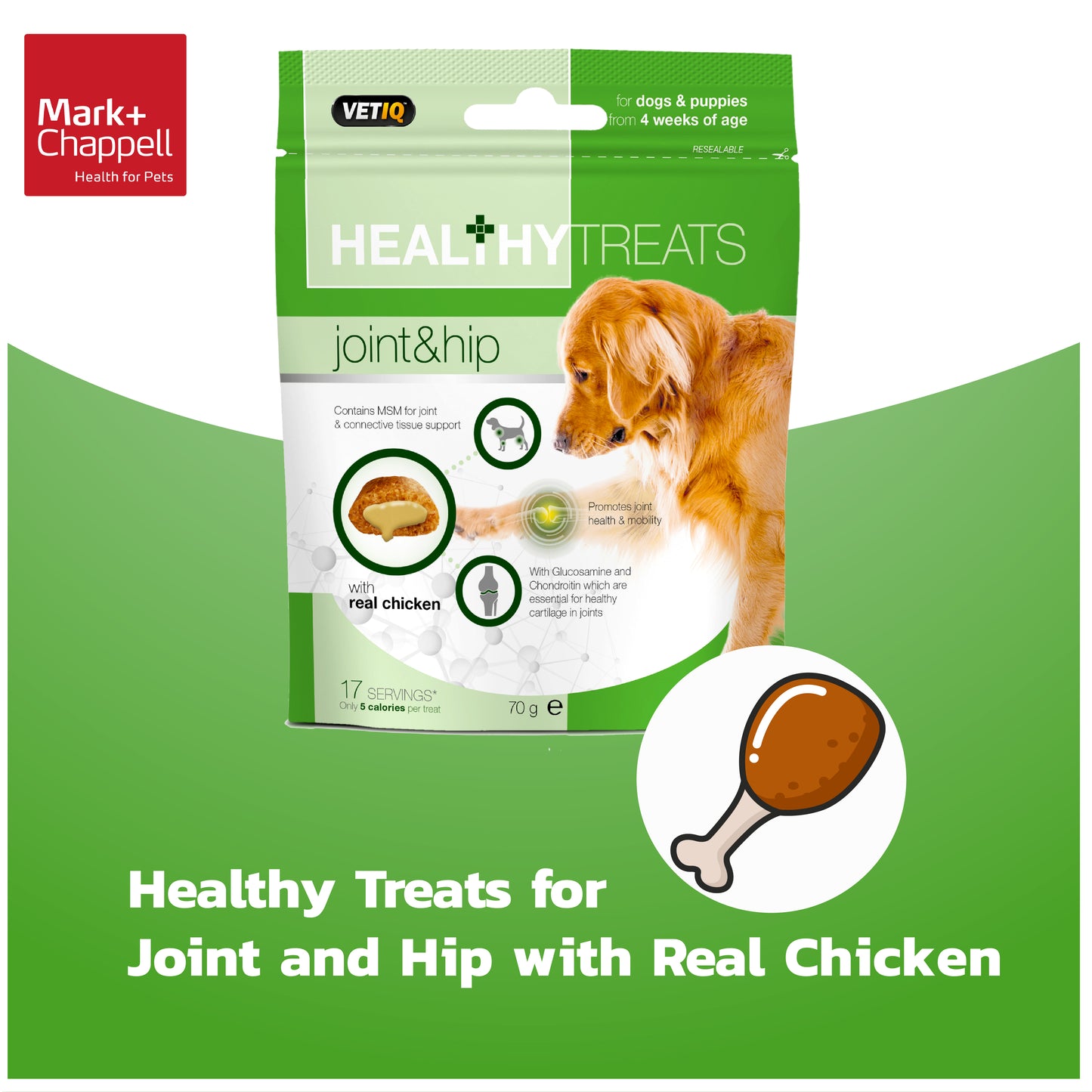 Healthy Treats Joint & Hip For Dogs & Puppies 70g