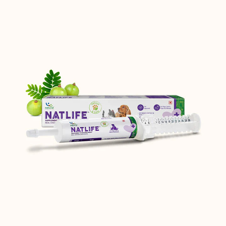 NATLIFE – Energy & Immunity Supplement