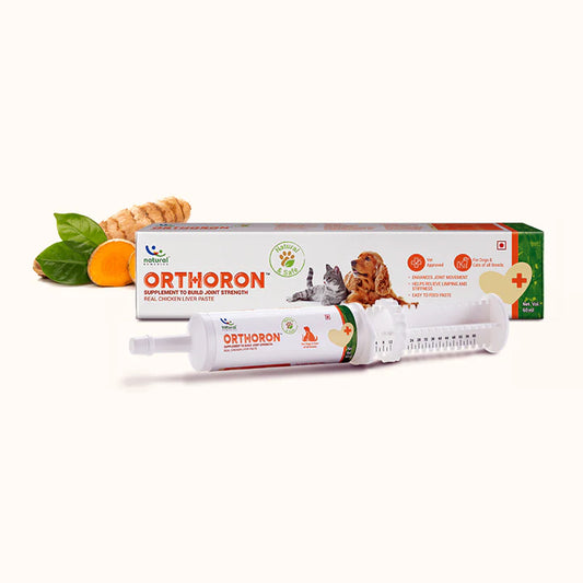 ORTHORON PASTE – Pet Joint Supplements