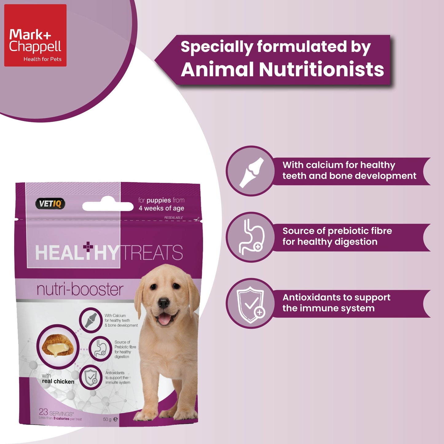 Healthy Treats Nutri Booster For Puppies 50g