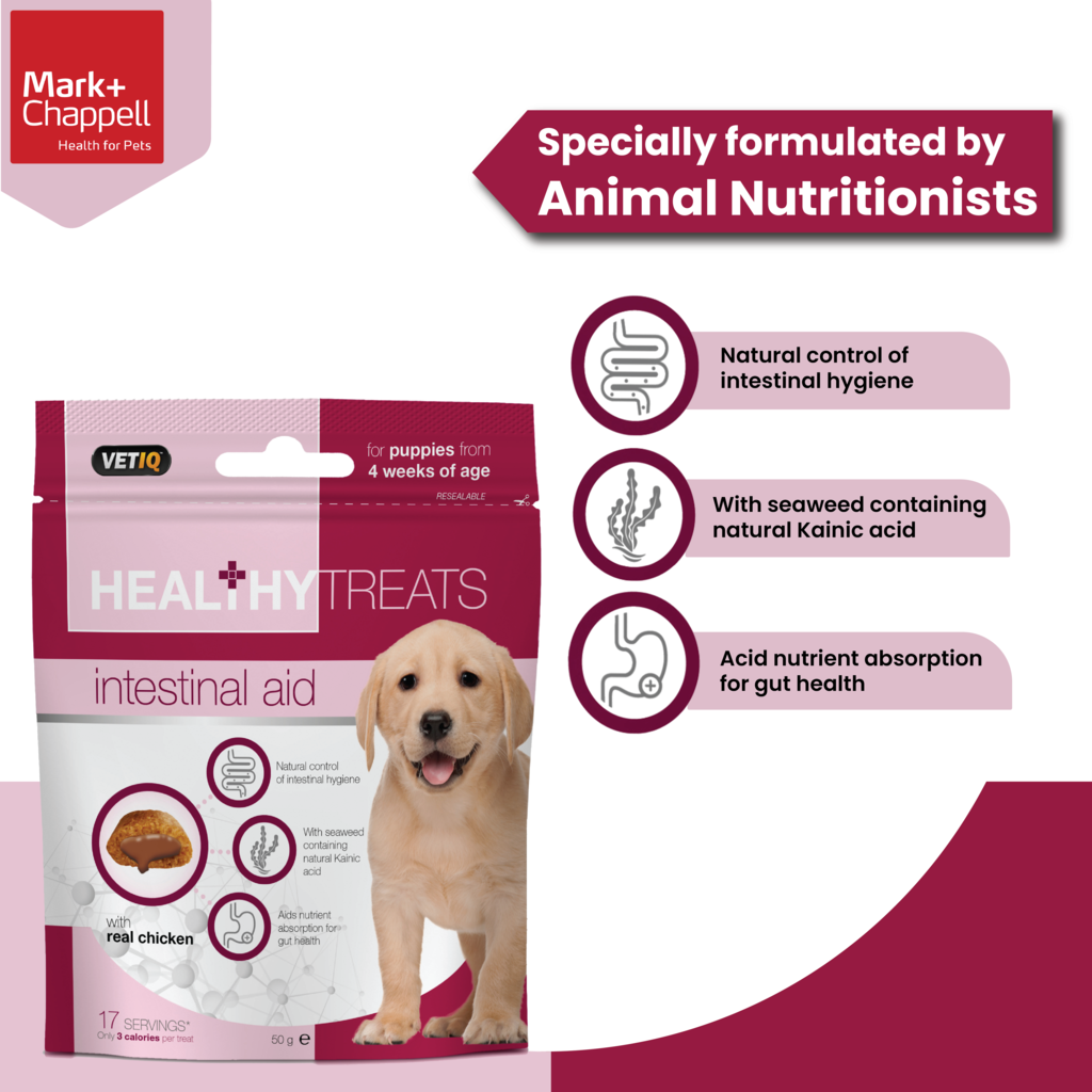 Healthy Treats Intestinal Aid for puppies 50g