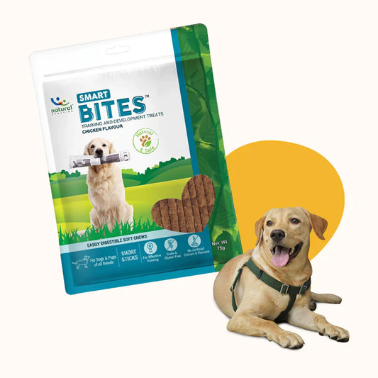 SMART BITES Training and Development Treats