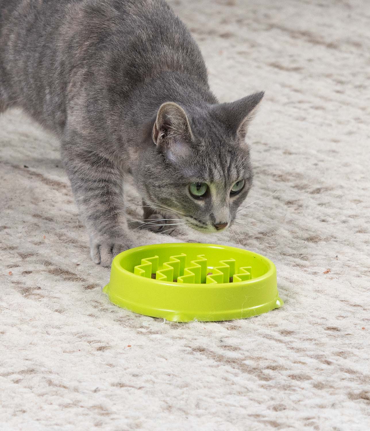 Kitty Slow Feeder Cat Bowl XS 14 cm