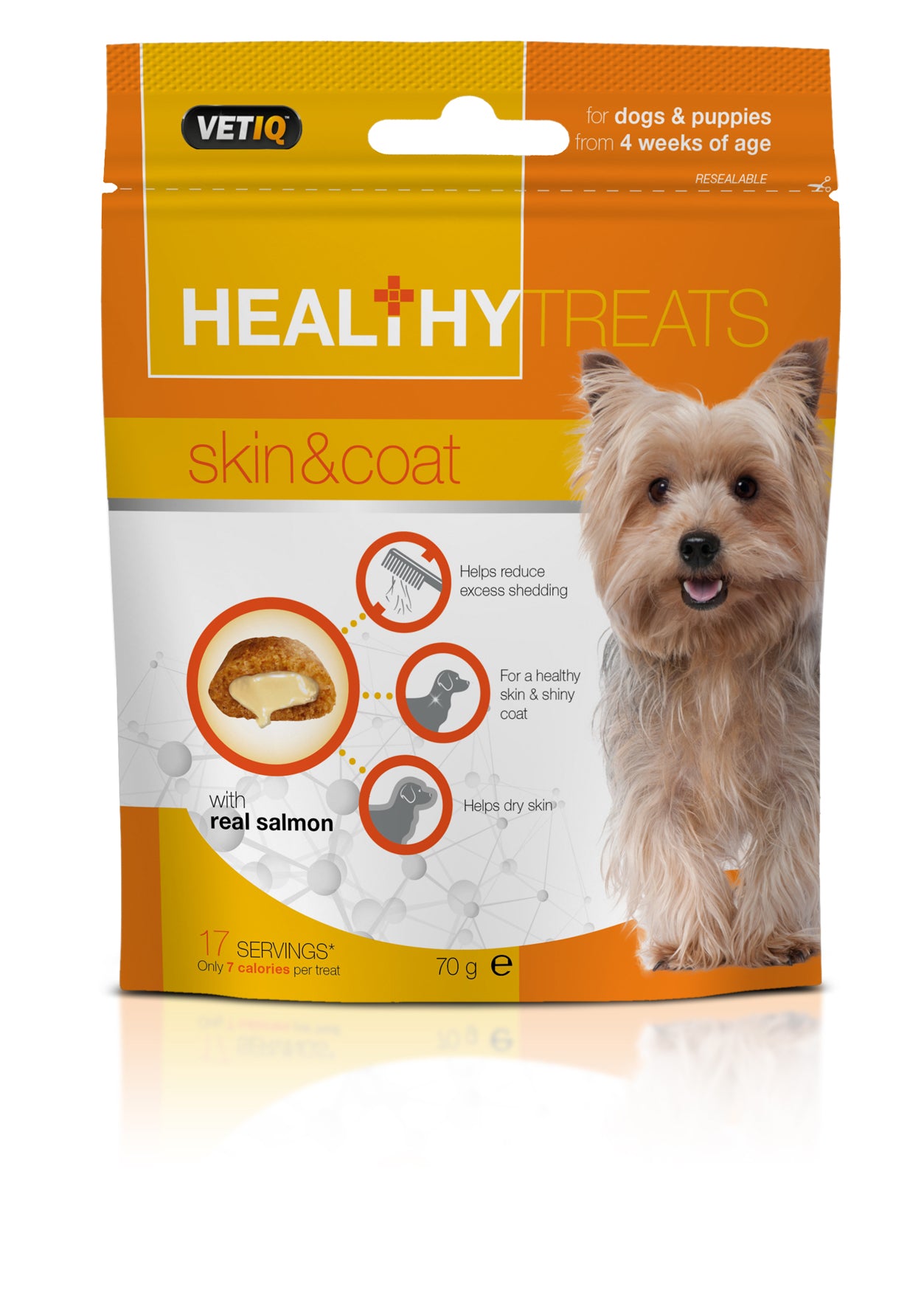 Healthy Treats Skin & Coat For Dogs & Puppies 70g