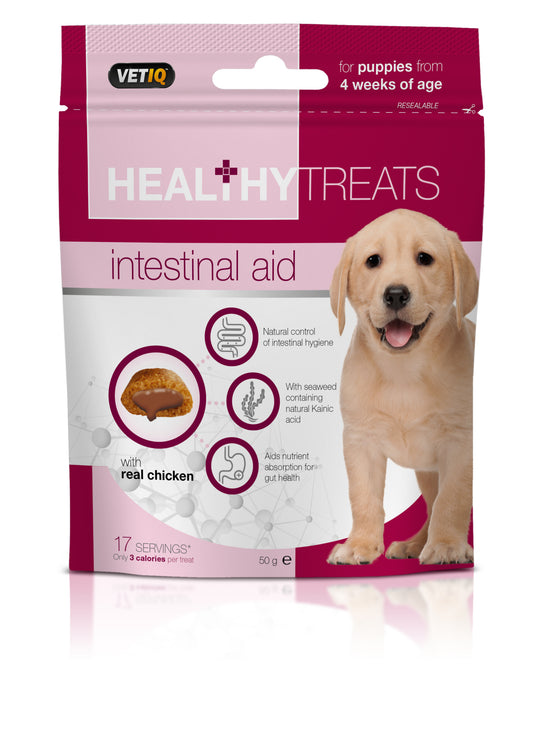 Healthy Treats Intestinal Aid for puppies 50g